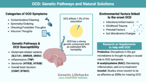 OCD - Genetic Variants and Brain Pathways