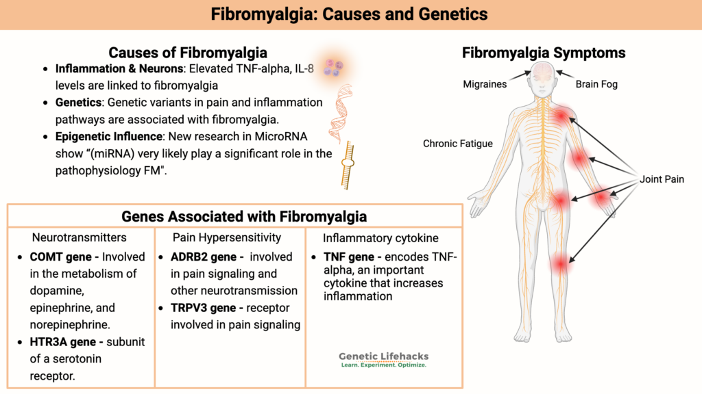 Fibromyalgia causes, symptoms and genetics