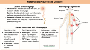 Fibromyalgia causes, symptoms and genetics