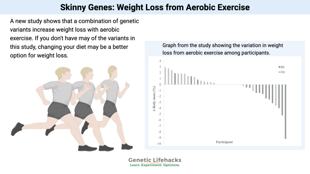 How genetics influences weight loss with aerobic exercise