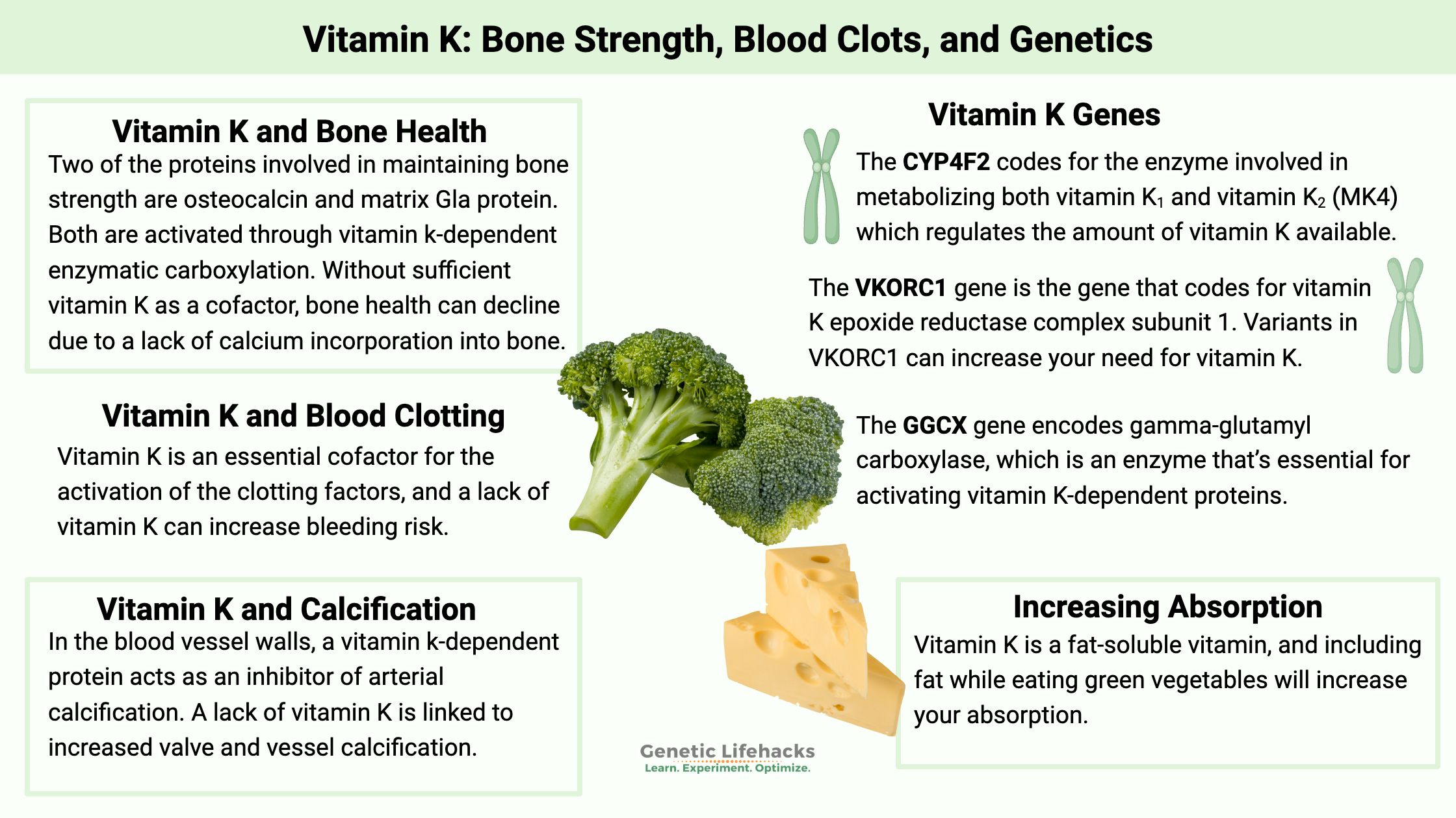 Vitamin K genetic variants, vitamin k and bone health