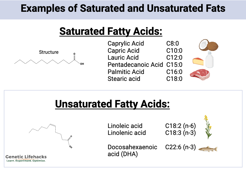 examples of the naming of different saturated and unsaturated fatty acids