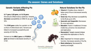 Genetic variants that affect susceptibility and intensity to the flu. Natural ways to combat the flu.