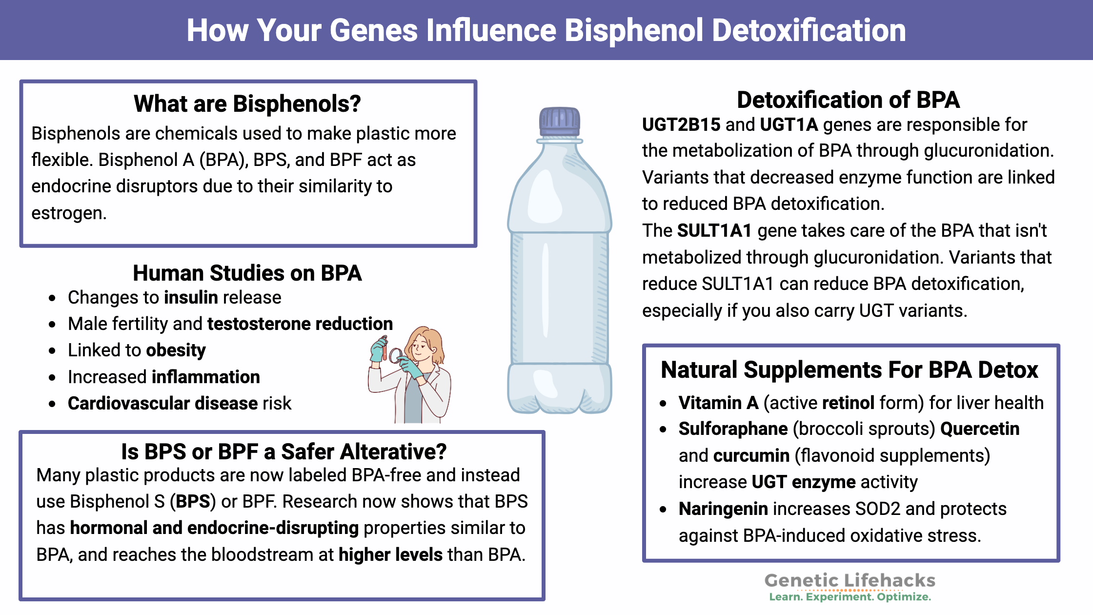 How Your Genes Influence BPA Detoxification, UGT genes, SULT genes