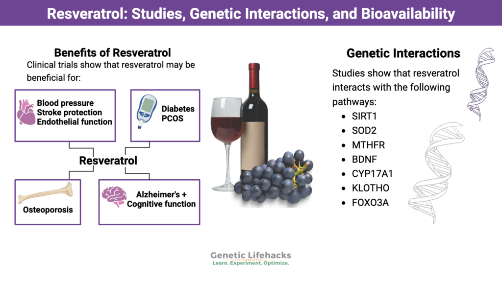 Resveratrol Studies Genetic Interactions Bioavailability