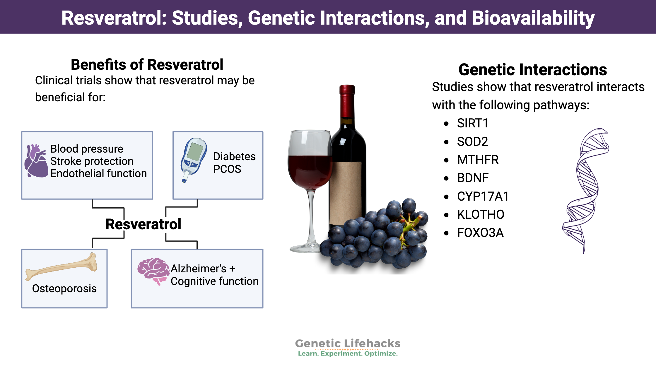 Resveratrol Studies Genetic Interactions Bioavailability