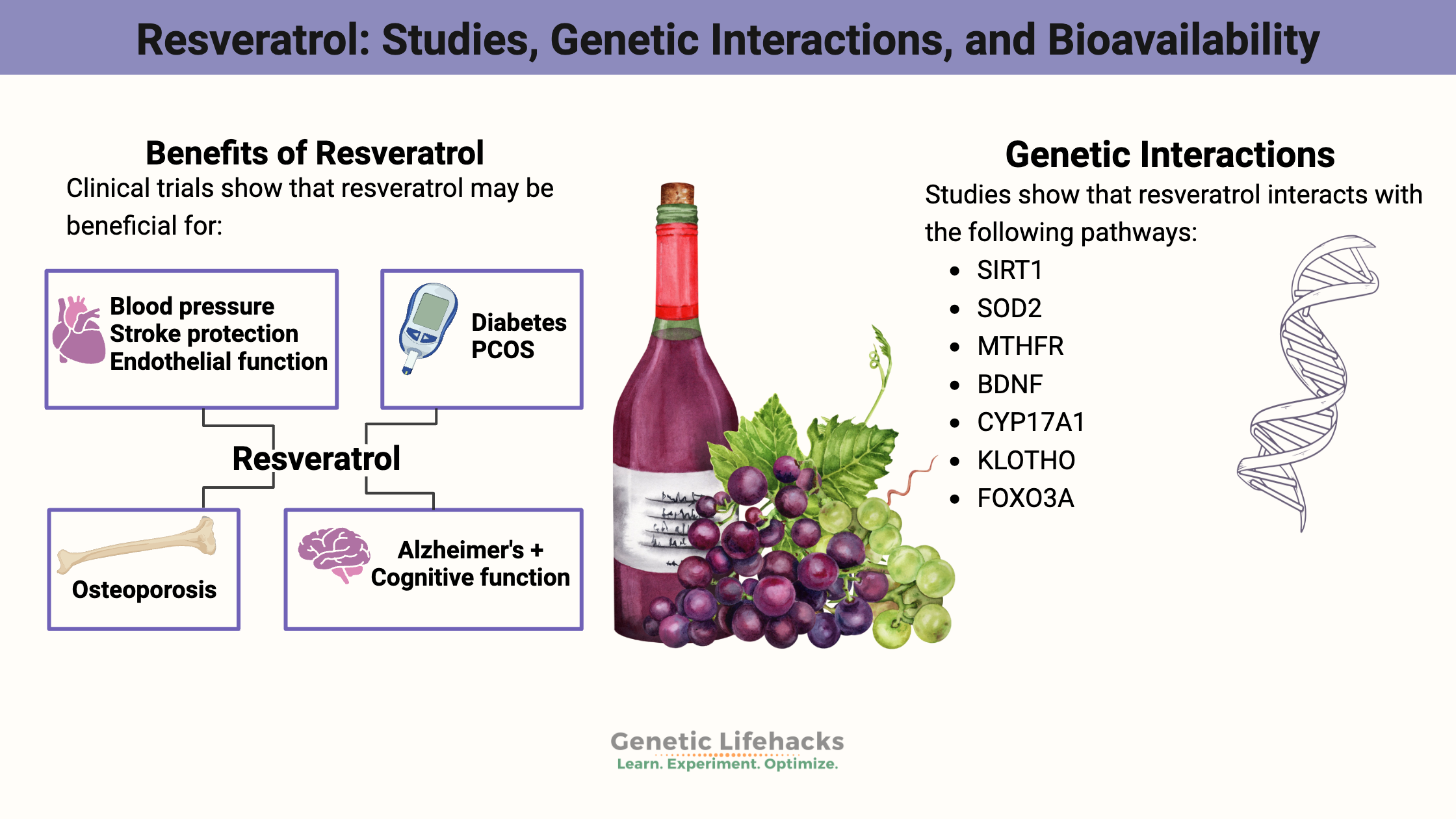 Resveratrol: Studies, Genetic Interactions, and Bioavailability