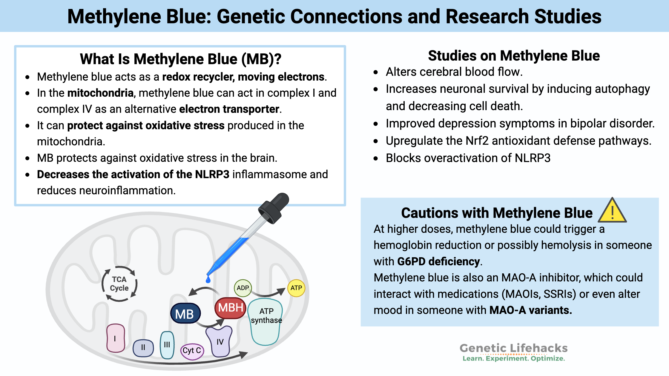 Methylene Blue: Genetic Connections and Research Studies