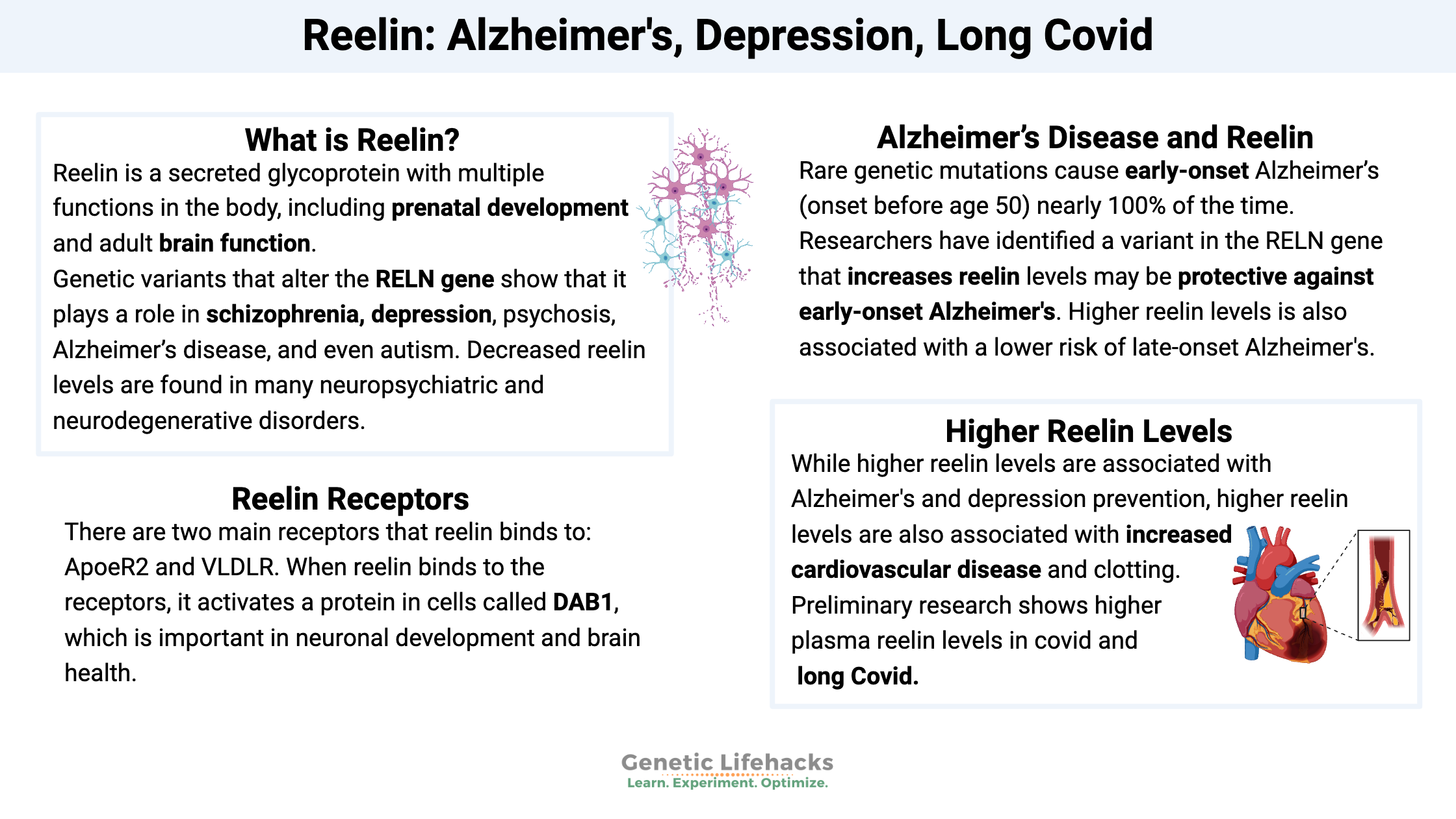 RELN, reelin, Dab1 - Alzheimer's, covid, and depression