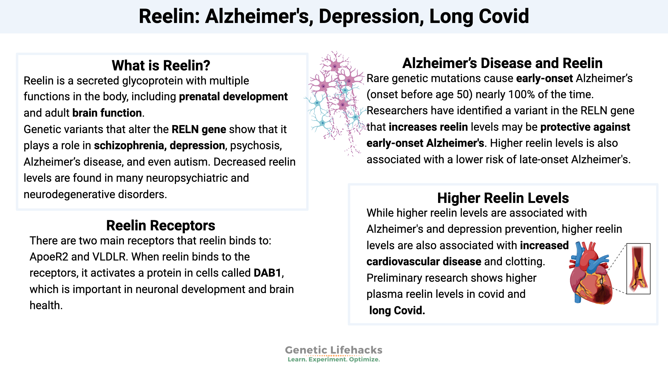 RELN, reelin, Dab1 - Alzheimer's, covid, and depression